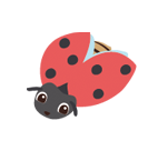 coccinella.png